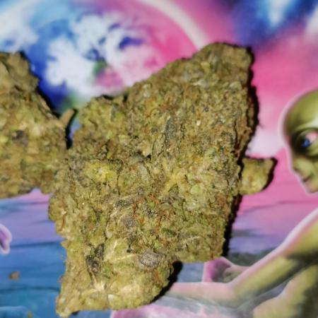 SSSC x DP Fast B 🏆🥇