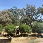 North fork 2025 organic goods