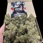 North fork 2025 organic goods