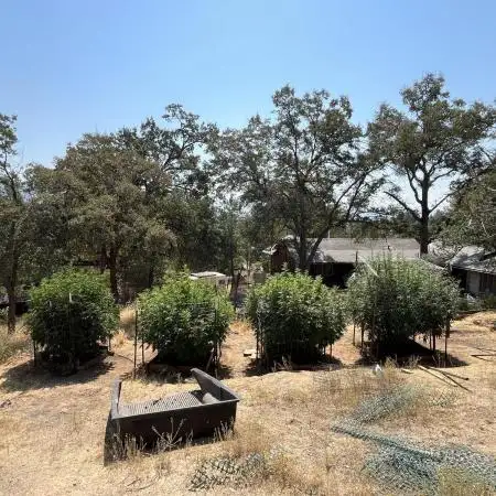 North fork 2025 organic goods