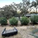North fork 2025 organic goods