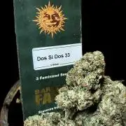 North fork 2025 organic goods