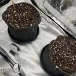 [GER] FastBuds x Original Sensible Seeds