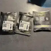 GTA VI Quarantäne Grow