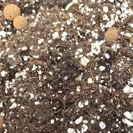 Biotabs Banana Purple Punch