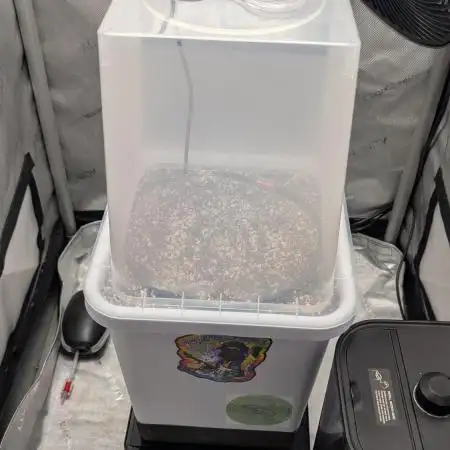 Sour Jealousy in an Autopot
