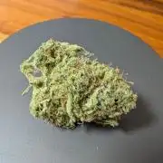 Sour Black Cherry Haze F2  by Speedrun