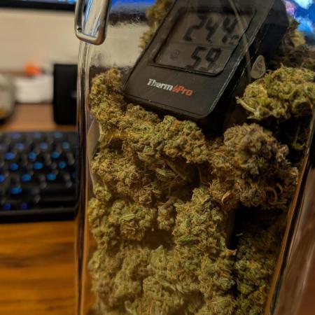 Sour Jealousy in an Autopot