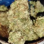 Wedding Cake Auto 