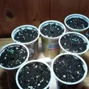croptober