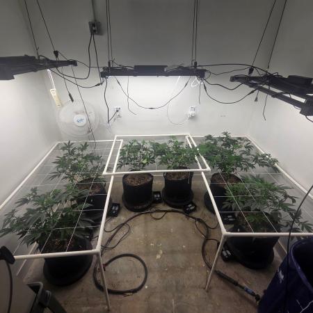 Autopots, beanstalk crf, and water