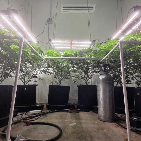 Autopots, beanstalk crf, and water
