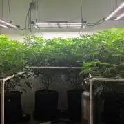 Autopots, beanstalk crf, and water