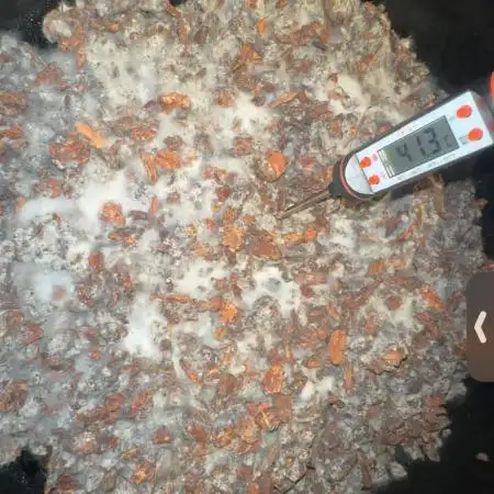 Indigenous Microorganisms