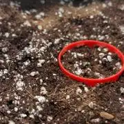 BPP auto RF3 in heyabby420pro