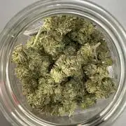 Battle of Systems: Chocolate Wafflez