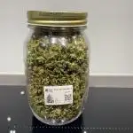 Special Queen #1, Garden Summer 2025