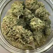 Battle of Systems: Chocolate Wafflez