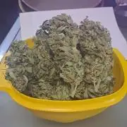 Outdoor April/July 2026