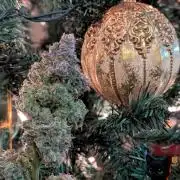 Sunset Sherb Go Fast