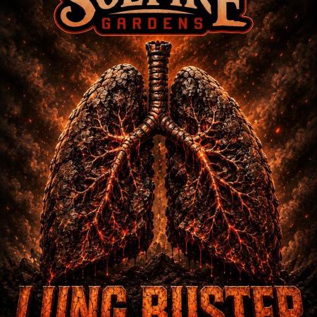 Buster of Lungs