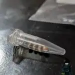 FEM 9 Photo Tester - Catlife420