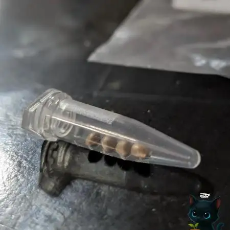 FEM 9 Photo Tester - Catlife420