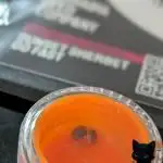 Sunset Sherbet GF (MY TURN) - Catlife420