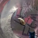 FEM 11 Photo Tester - Catlife420