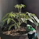 Fem 10 Photo