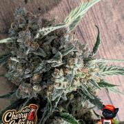 Cherry Cola RF3 to wash it down