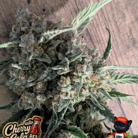 Cherry Cola RF3 to wash it down