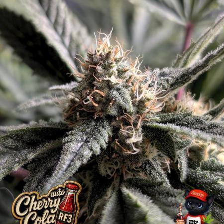 Cherry Cola RF3 to wash it down