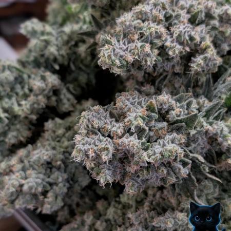 Twinning with Apples and Bananas