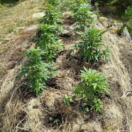 Outdoor guerrilla Finland 26