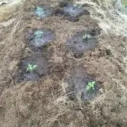 Outdoor guerrilla Finland 26