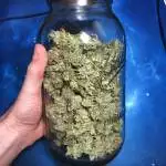 Blue Dream - (2) ES 300's in 4x4