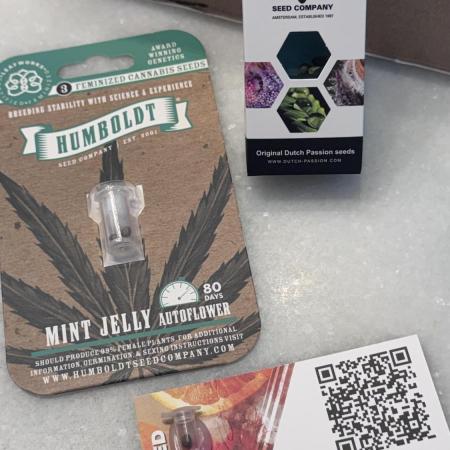 Mint Jelly & Daiquiri Lime Auto
