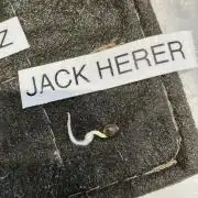 Jack Herer Auto - Seedsman
