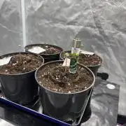 Round 3 RQS