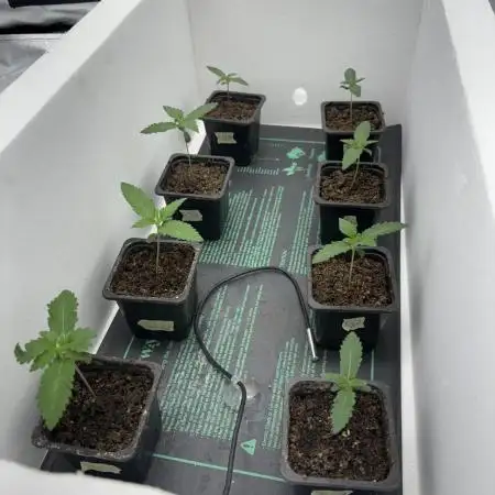 Grow Fall 25
