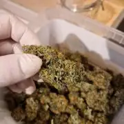 Auto Candy Bubatz XL
