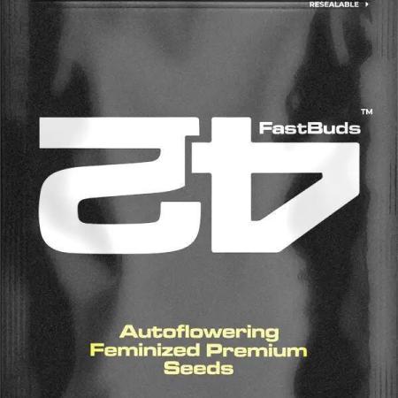 Fast Buds Auto