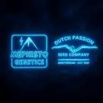 Mephisto and Dutch Passion