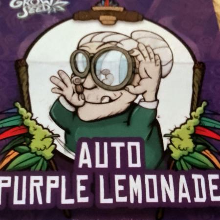 Purple Lemonade Auto