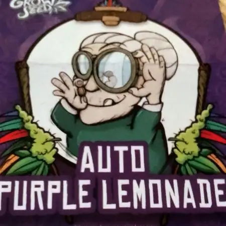 Purple Lemonade Auto