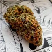 Purple Lemonade Auto