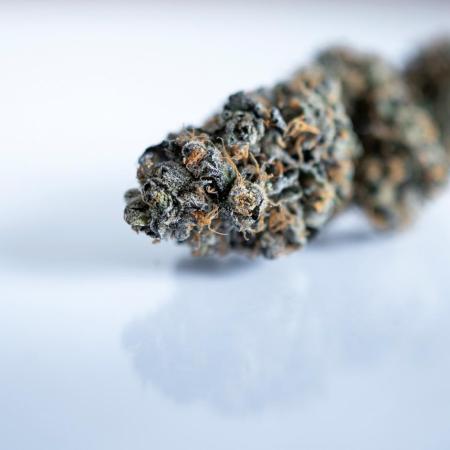 Eight amazing strains in a 4x4 / ORGANIC