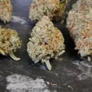 Cherry Cola RF3