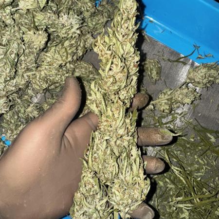 Fast Buds Outdoor 2025